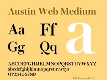 Austin Web Medium Version 1.1 2013图片样张