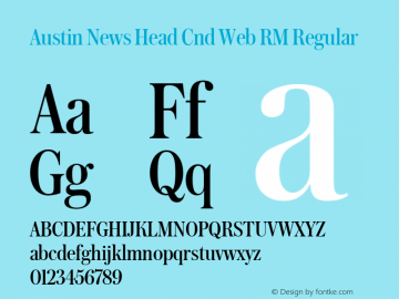 Austin News Head Cnd Web RM Regular Version 1.1 2016图片样张