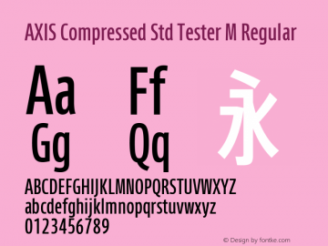 AXIS Compressed Std Tester M Regular Version 1.021;PS 2.007;hotconv 1.0.50;makeotf.lib2.0.16970; TT 0.93 Font Sample