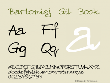 Bartomiej Gil Book Version 2.5图片样张