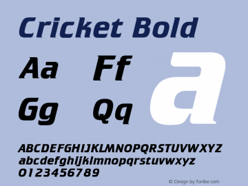 Cricket Bold 001.000 Font Sample