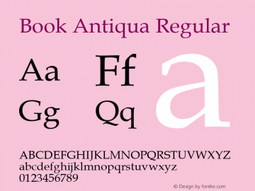 Book Antiqua Regular Version 2.35图片样张