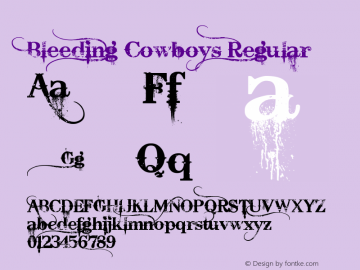 Bleeding Cowboys Regular Version 1.00 June 28, 2007, initial release图片样张