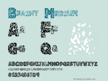 Brainy Medium Version 001.000 Font Sample