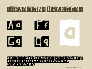 -BRANDON- BRANDON- Version 1.03 July 2008图片样张