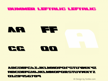 Bummer Leftalic Leftalic Version 1.0; 2007; initial release图片样张
