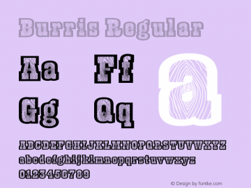 Burris Regular Macromedia Fontographer 4.1.5 11/3/01 Font Sample