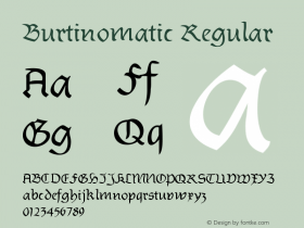 Burtinomatic Regular 1.0 2004-12-10图片样张