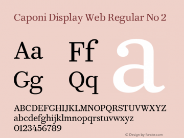 Caponi Display Web Regular No 2 Version 1.1 2013 Font Sample