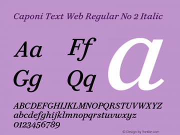Caponi Text Web Regular No 2 Italic Version 1.1 2013 Font Sample