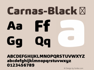 Carnas-Black ☞ Version 1.000;com.myfonts.easy.hoftype.carnas.black.wfkit2.version.4mC8图片样张