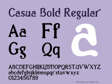Casua_Bold Regular Version 1.1; 2002图片样张