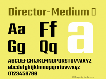 Director-Medium ☞ Version 1.002;PS 0.200;hotconv 1.0.79;makeotf.lib2.5.61930;com.myfonts.easy.indian-type-foundry.director.medium.wfkit2.version.4n4Y Font Sample