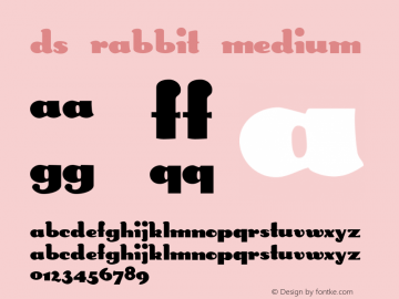 DS Rabbit Medium Version 1.1; 2000 Font Sample