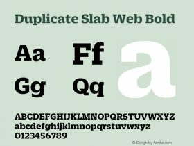 Duplicate Slab Web Bold Version 1.1 2013图片样张