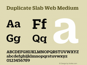 Duplicate Slab Web Medium Version 1.1 2013图片样张