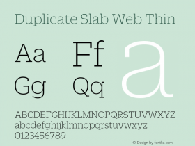 Duplicate Slab Web Thin Version 1.1 2013图片样张