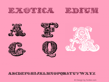 exotica Medium Version 2001; 1.0, initial r图片样张
