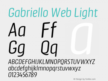 Gabriello Web Light Version 1.1 2014图片样张