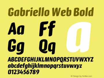 Gabriello Web Bold Version 1.1 2014图片样张