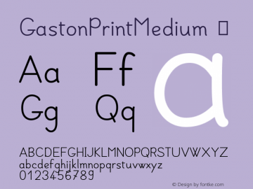 GastonPrintMedium ☞ Version 001.002 ;com.myfonts.easy.jbfoundry.gaston.print-medium.wfkit2.version.41dV Font Sample