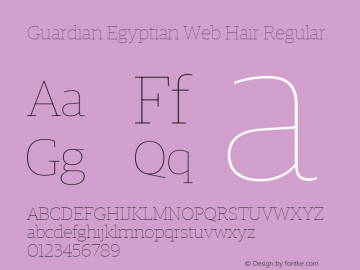 Guardian Egyptian Web Hair Regular Version 001.002 2009图片样张