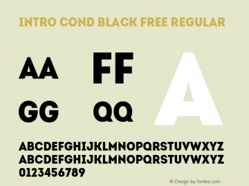 Intro Cond Black Free Regular Version 001.000图片样张