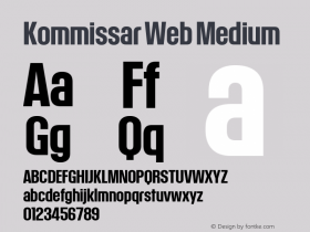 Kommissar Web Medium Version 1.1 2011图片样张