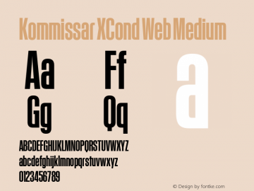 Kommissar XCond Web Medium Version 1.1 2011图片样张