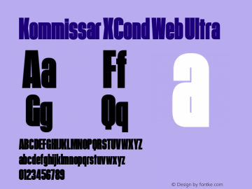 Kommissar XCond Web Ultra Version 1.1 2011图片样张