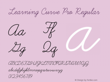 Learning Curve Pro Regular Version 1.000 Font Sample