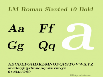LM Roman Slanted 10 Bold Version 1.106;PS 1.106;hotconv 1.0.49;makeotf.lib2.0.14853图片样张