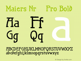 Maiers Nr.21 Pro Bold Version 1.002 2006图片样张