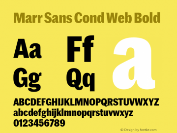 Marr Sans Cond Web Bold Version 1.1 2015图片样张