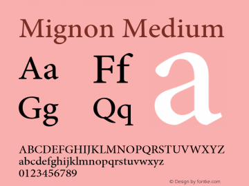 Mignon Medium Version 2.030;PS 2.000;hotconv 1.0.51;makeotf.lib2.0.18671图片样张