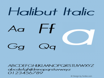 Halibut Italic The WSI-Fonts Professional Collection Font Sample