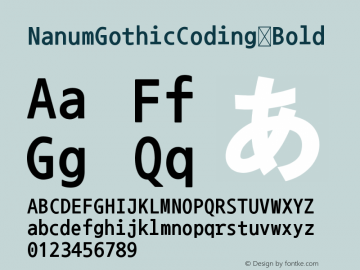 NanumGothicCoding Bold Version 2.000;PS 1;hotconv 1 Font Sample