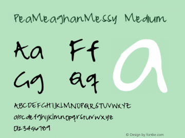 PeaMeaghanMessy Medium Version 001.000 Font Sample
