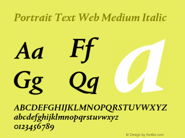 Portrait Text Web Medium Italic Version 1.1 2013 Font Sample