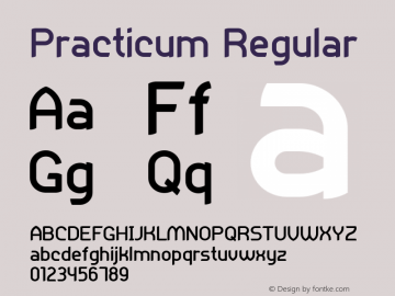 Practicum Regular Version 001.000图片样张