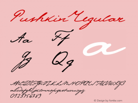 Pushkin Regular Version 1.0; 1999; initial release图片样张