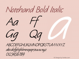 Notehand Bold Italic W.S.I. Int'l v1.1 for GSP: 6/20/95 Font Sample