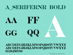 a_SeriferNr Bold 01.03 Font Sample