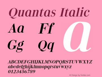 Quantas Italic The WSI-Fonts Professional Collection Font Sample