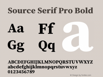 Source Serif Pro Bold Version 1.017;PS 1.0;hotconv 1.0.79;makeotf.lib2.5.61930图片样张