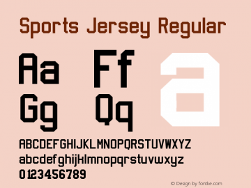 Sports Jersey Regular Version 1.00 December 31, 2003图片样张