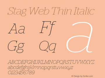 Stag Web Thin Italic Version 2.1 2011图片样张