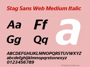 Stag Sans Web Medium Italic Version 1.1 2007 Font Sample