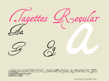 Tagettes Regular Version 1.01 November 2007, initial release March 2005图片样张