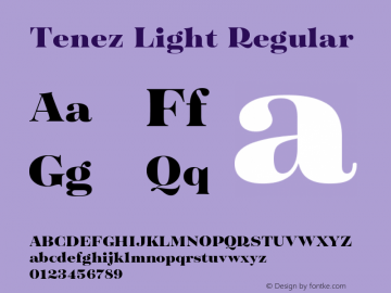 Tenez Light Regular Version 1.000;PS 001.000;hotconv 1.0.88;makeotf.lib2.5.64775 Font Sample